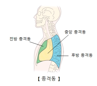 악성 종격동 종양