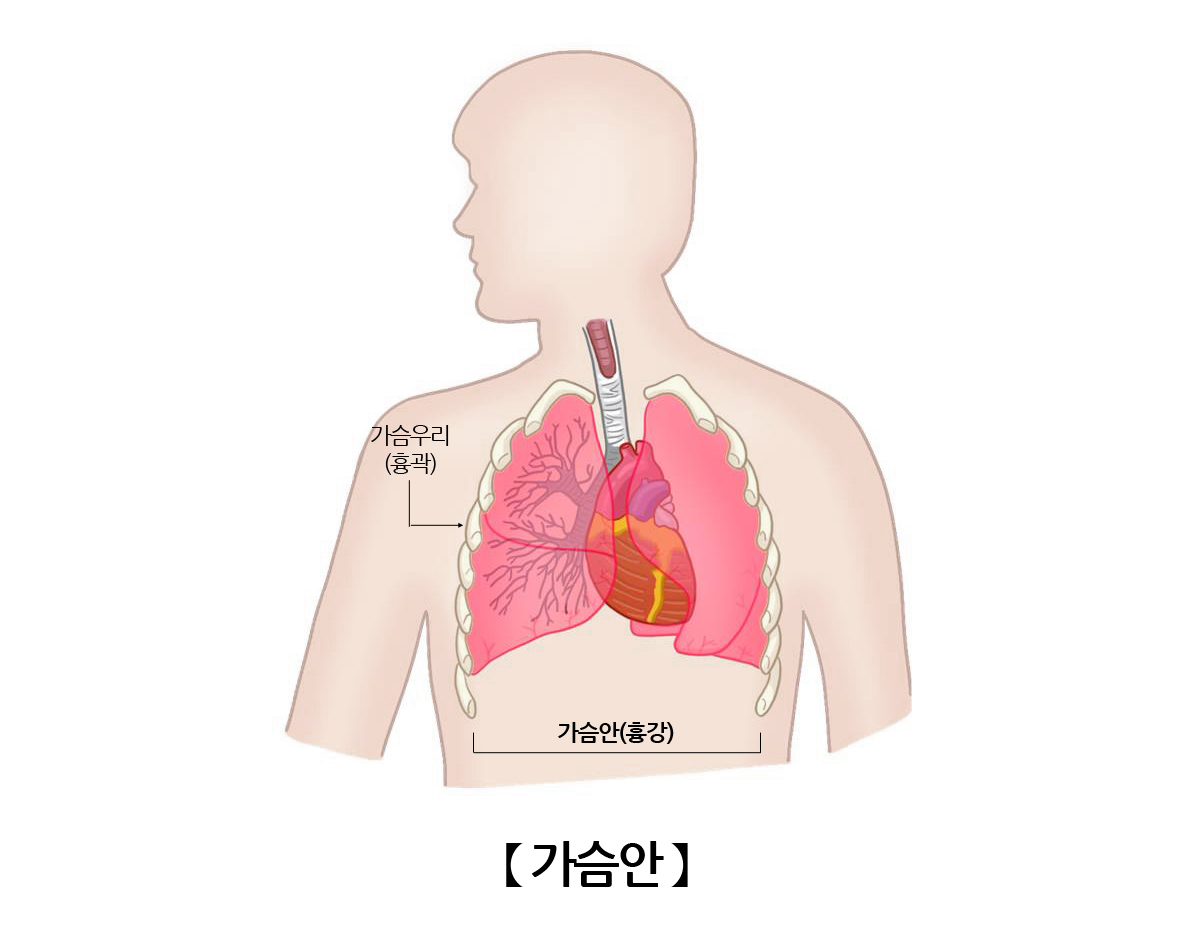 가슴안