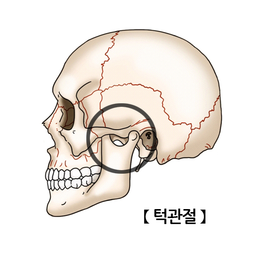 턱관절